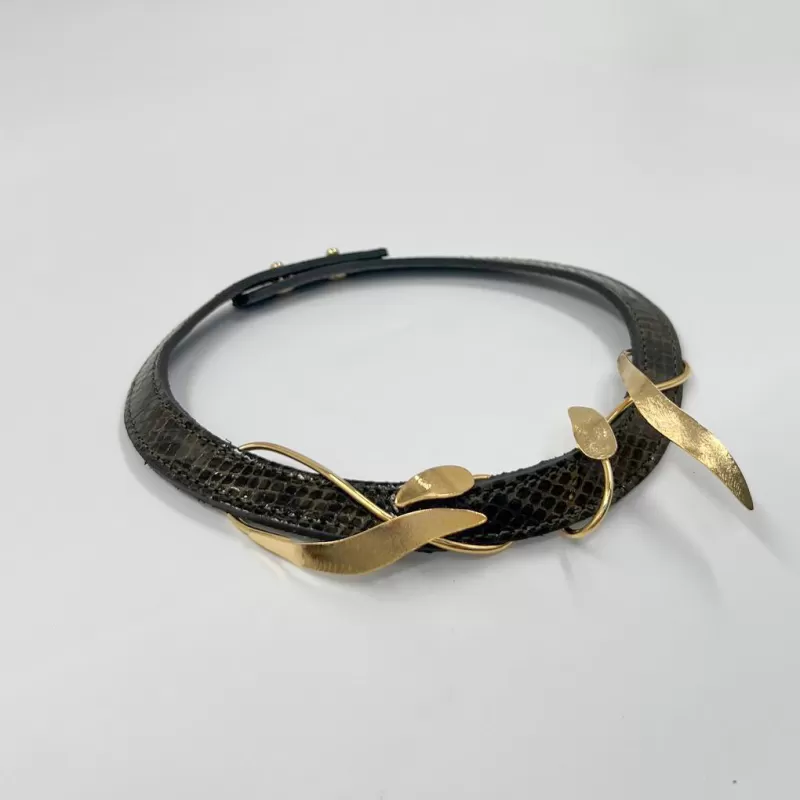 Baia Gold Haki Tasma